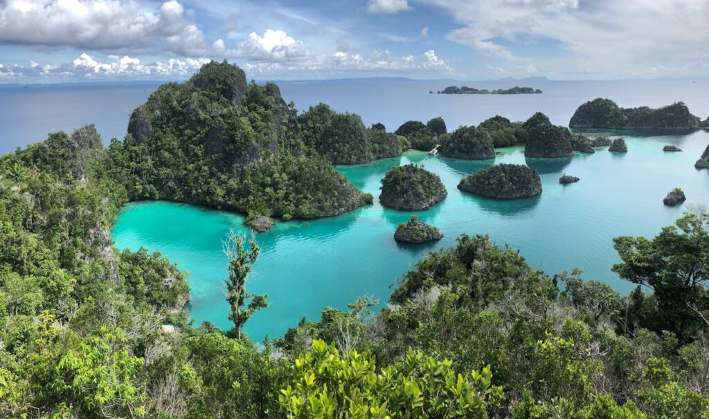Raja Ampat Indonesia tropical islands and coral reefs hidden gem in Asia