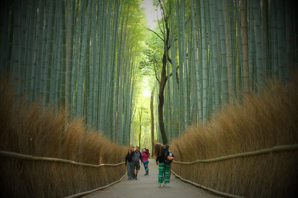 arashiyama bamboo forest kyoto japan travel destination