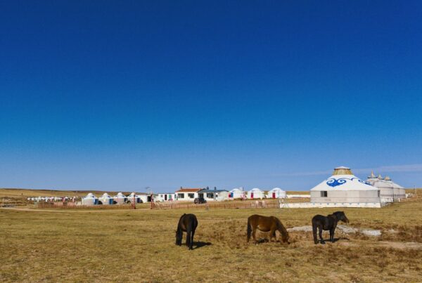 mongolia travel guide for digital nomads